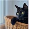 yamanashi