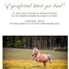 Nevada