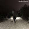 SeyoniQue